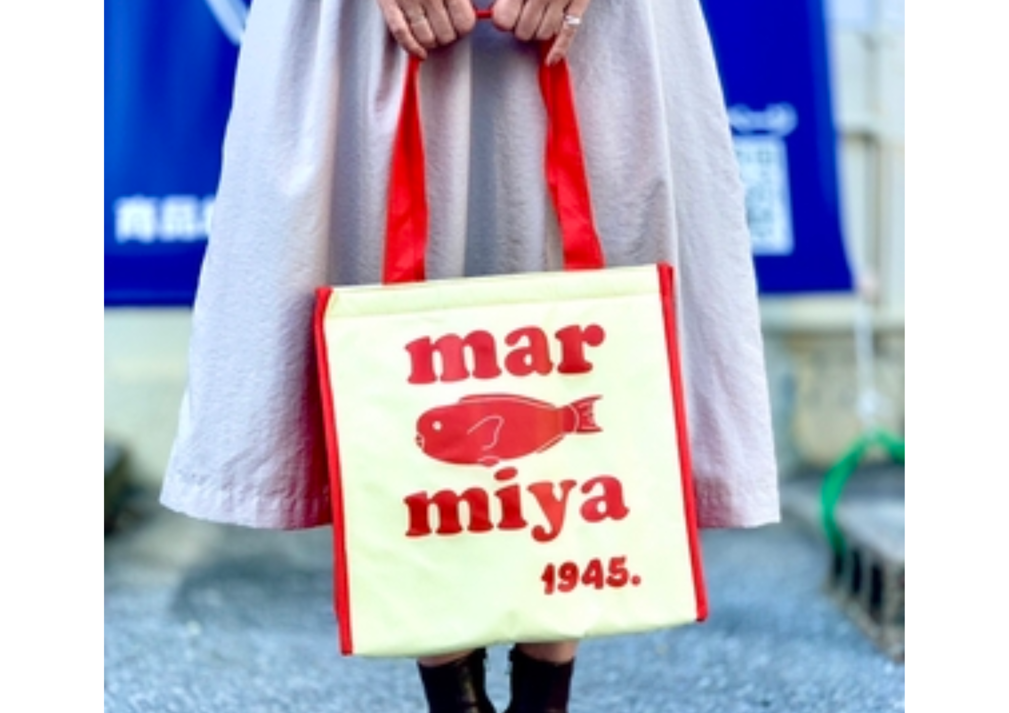 マーミヤオリジナル 保冷バック（大） | マーミヤかまぼこ那覇工場